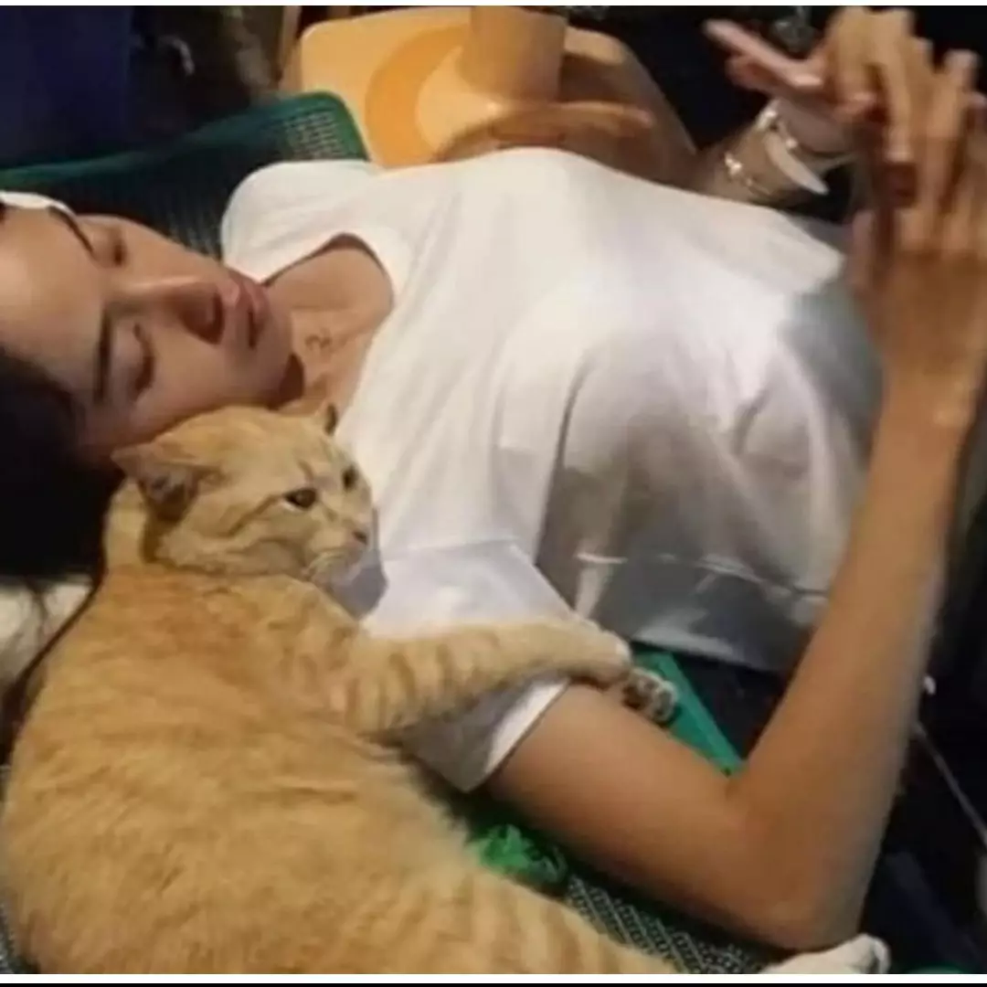 11 Potret lucu kucing kalau lagi akur sama manusia, main HP bareng