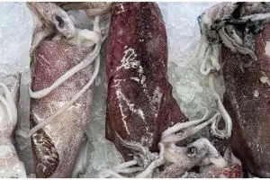 9 Manfaat cumi-cumi untuk kesehatan, menurunkan risiko stroke