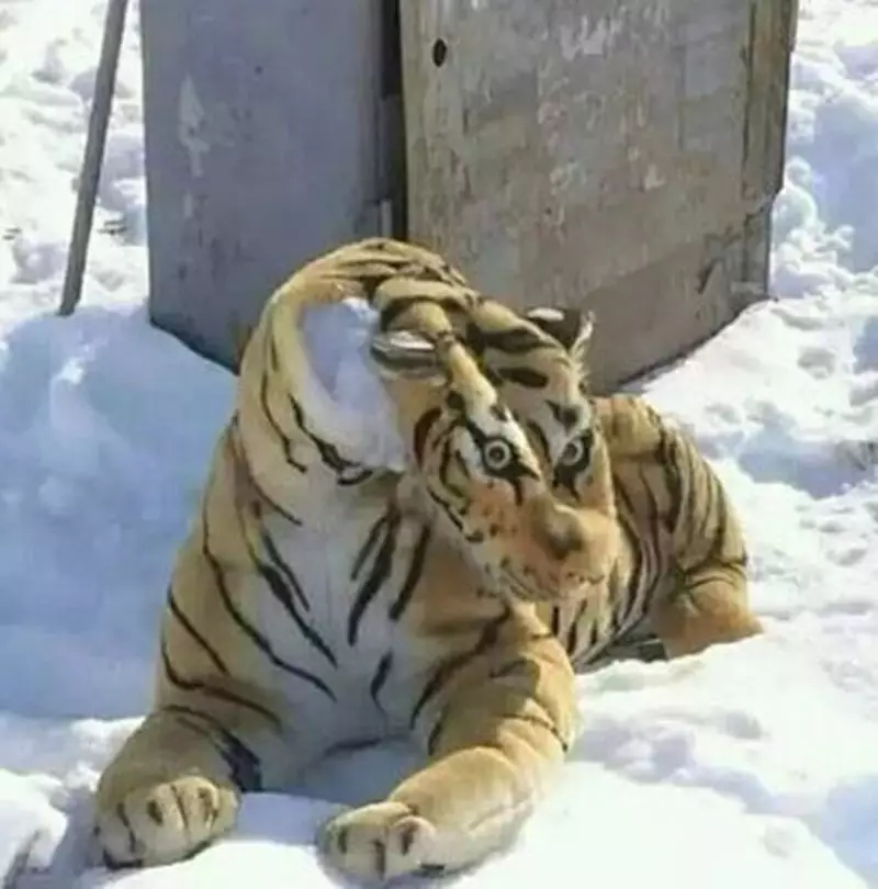 benda bentuknya nggak seperti biasa © berbagai sumber benda bentuknya nggak seperti biasa © berbagai sumber