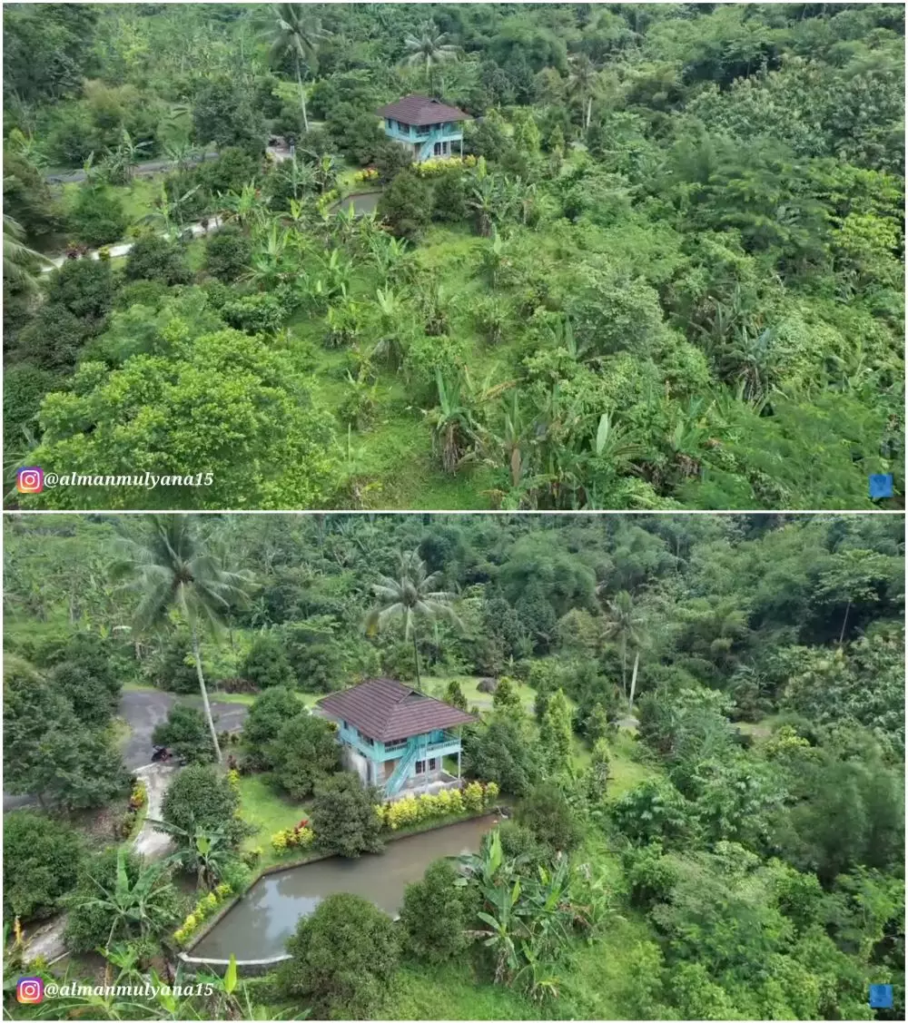 rumah di tengah hutan terbengkalai © YouTube