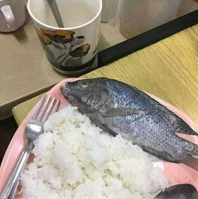 makanan mentah bikin nggak selera © berbagai sumber