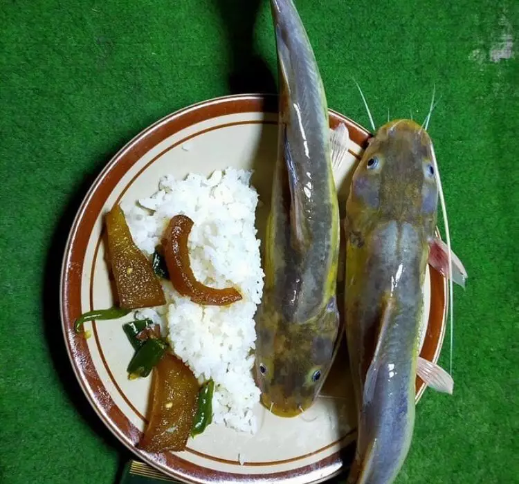 makanan mentah bikin nggak selera © berbagai sumber