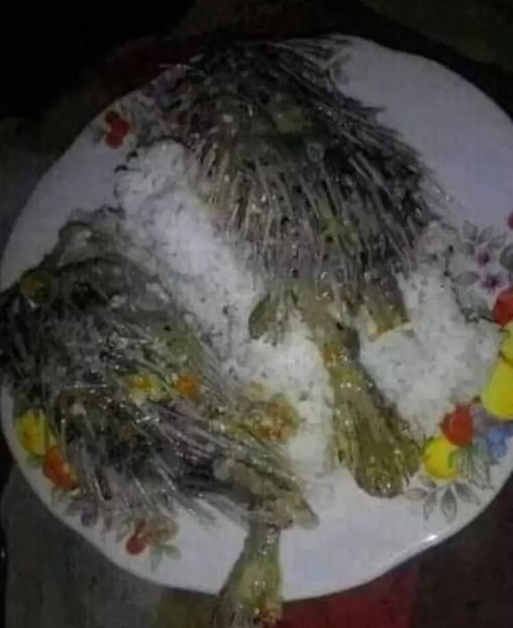 makanan mentah bikin nggak selera © berbagai sumber