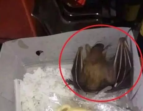 makanan mentah bikin nggak selera © berbagai sumber