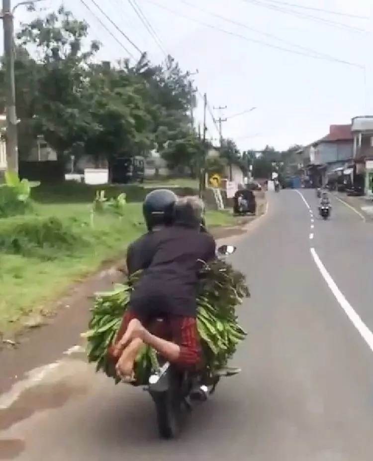 orang niatnya mau solutif malah absurd © Instagram