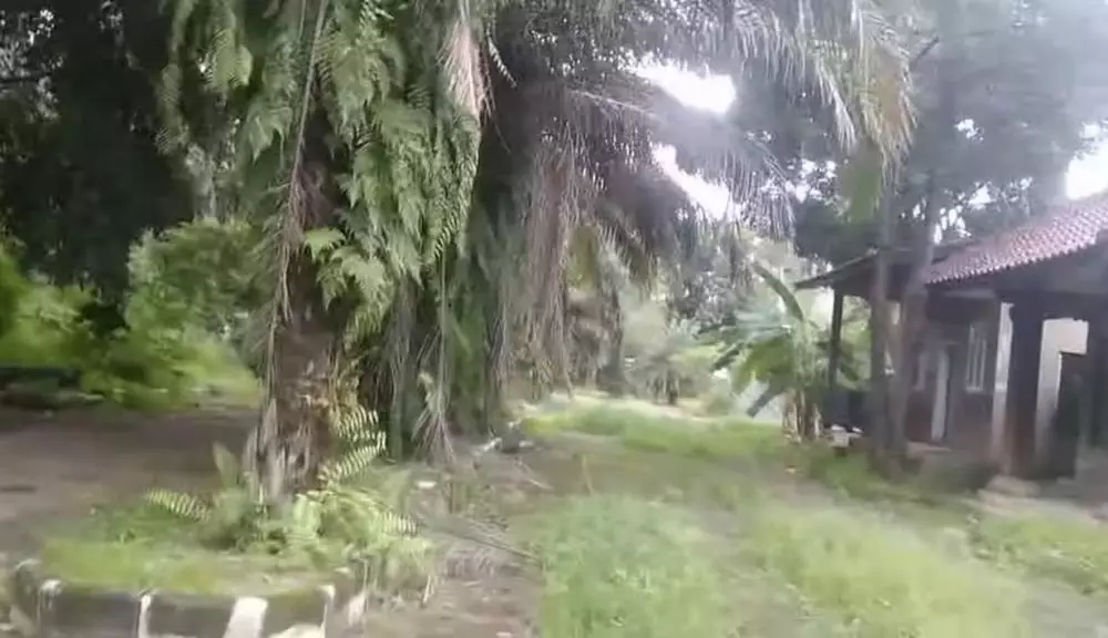 kondisi Kampung Artis  © YouTube