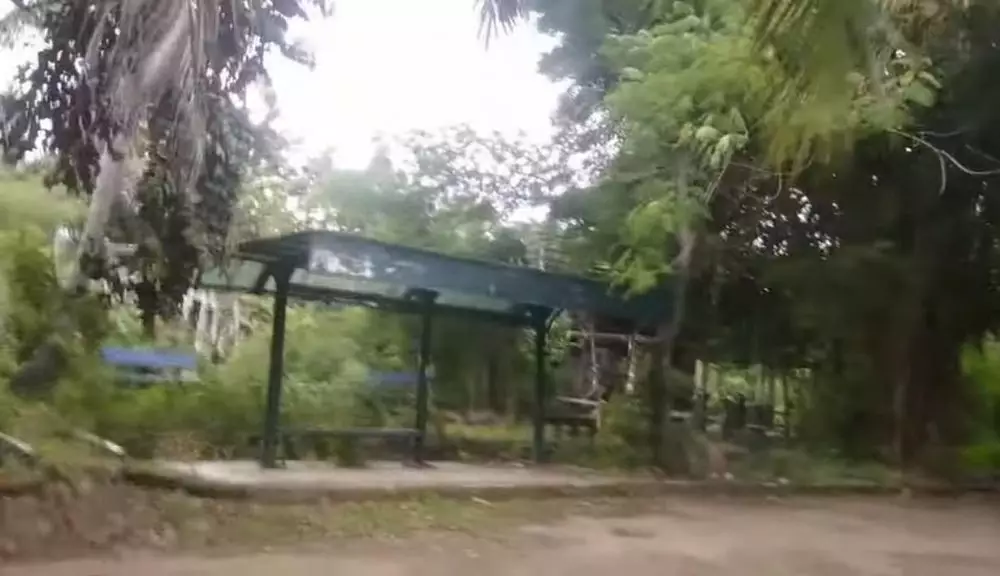 kondisi Kampung Artis  © YouTube