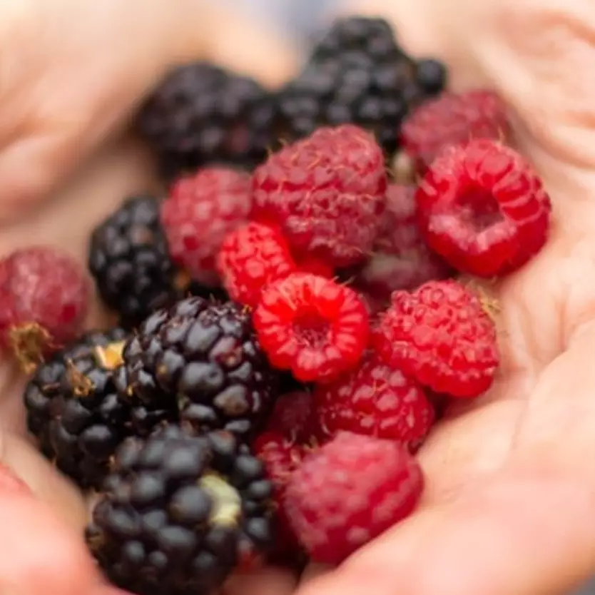 9 Makanan ini bantu melancarkan peredaran darah saat terkena Omicron