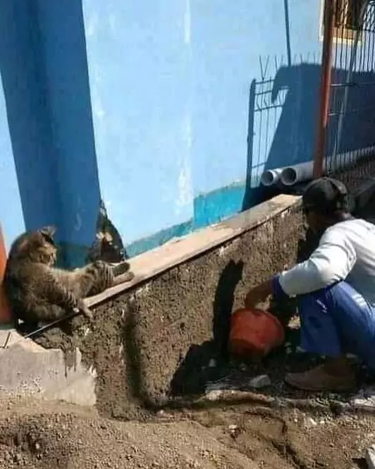 hewan dipotret dari belakang lucu © Instagram