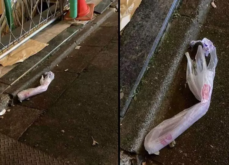 benda nyeleneh bikin kaget pas di-zoom © berbagai sumber