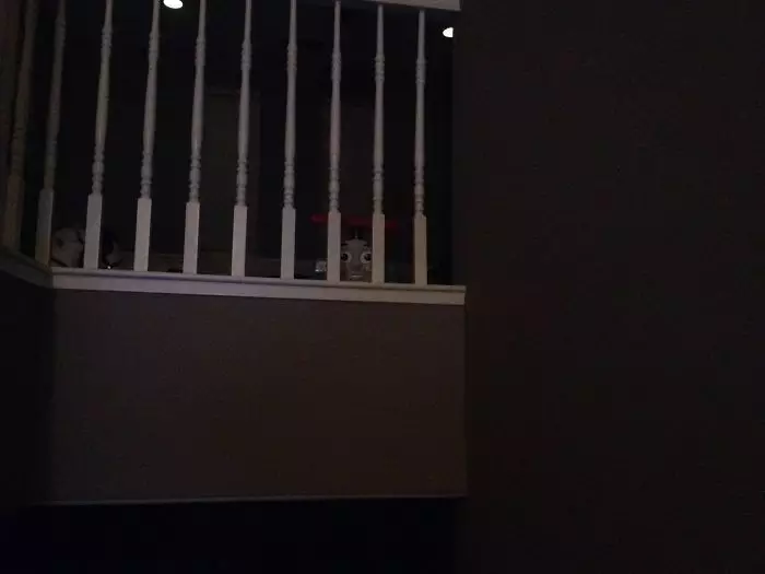 benda nyeleneh bikin kaget pas di-zoom © berbagai sumber