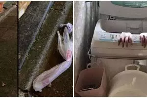 13 Penampakan benda bikin kaget ini pas di-zoom ngeselin