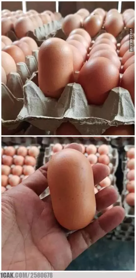 benda ngebug bentuk gagal fokus © berbagai sumber