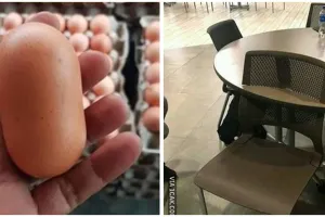 15 Potret absurd benda ngebug ini bentuknya bikin gagal fokus