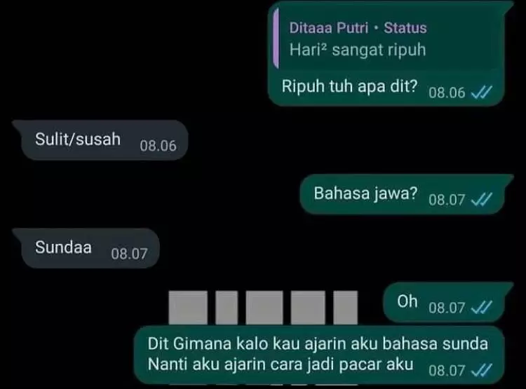 chat ada motif tersembunyi lucu © Instagram chat ada motif tersembunyi lucu © Instagram