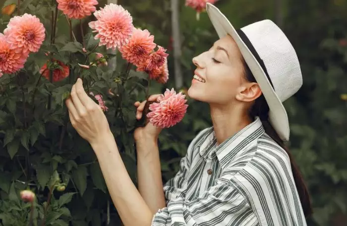 Arti mimpi memetik bunga © 2022 berbagai sumber  Arti mimpi memetik bunga © 2022 berbagai sumber