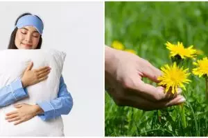 10 Arti mimpi memetik bunga yang perlu diketahui, bawa kebahagiaan