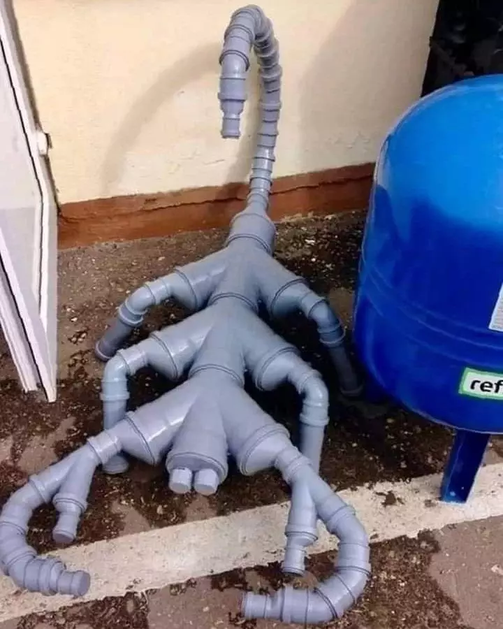 benda menyerupai binatang © berbagai sumber benda menyerupai binatang © berbagai sumber