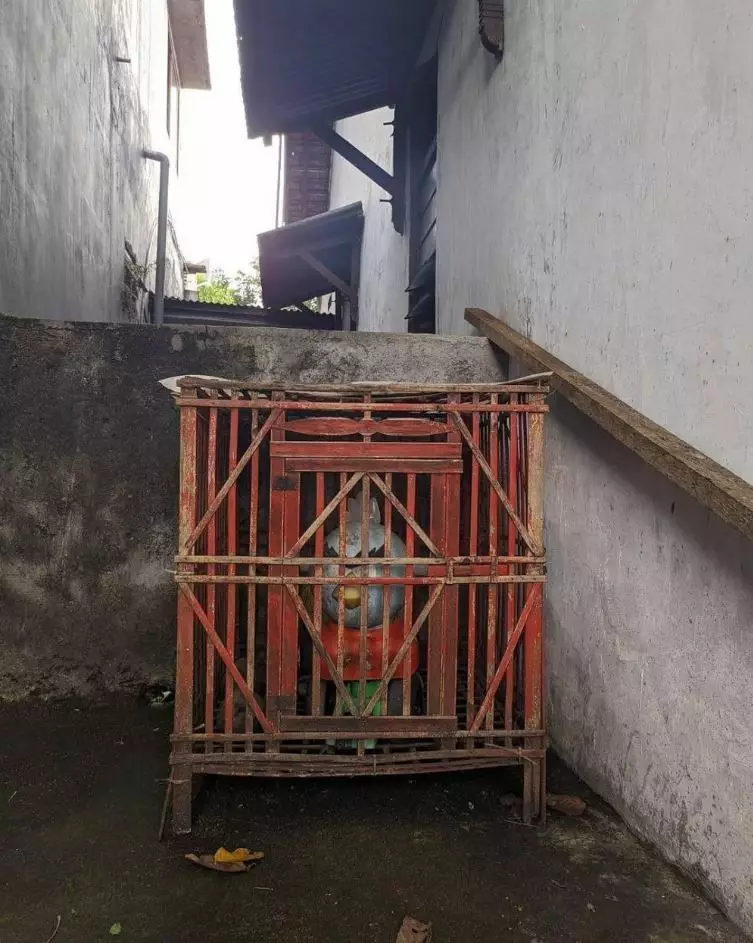 benda menyerupai binatang © berbagai sumber benda menyerupai binatang © berbagai sumber