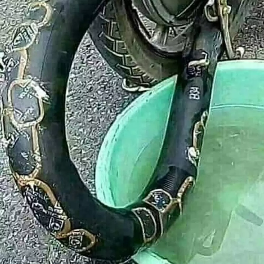 benda menyerupai binatang © berbagai sumber benda menyerupai binatang © berbagai sumber