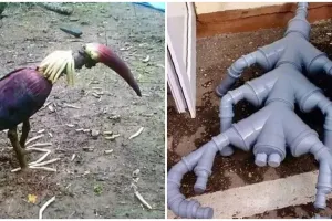 11 Potret lucu benda menyerupai binatang ini auto mengecoh mata