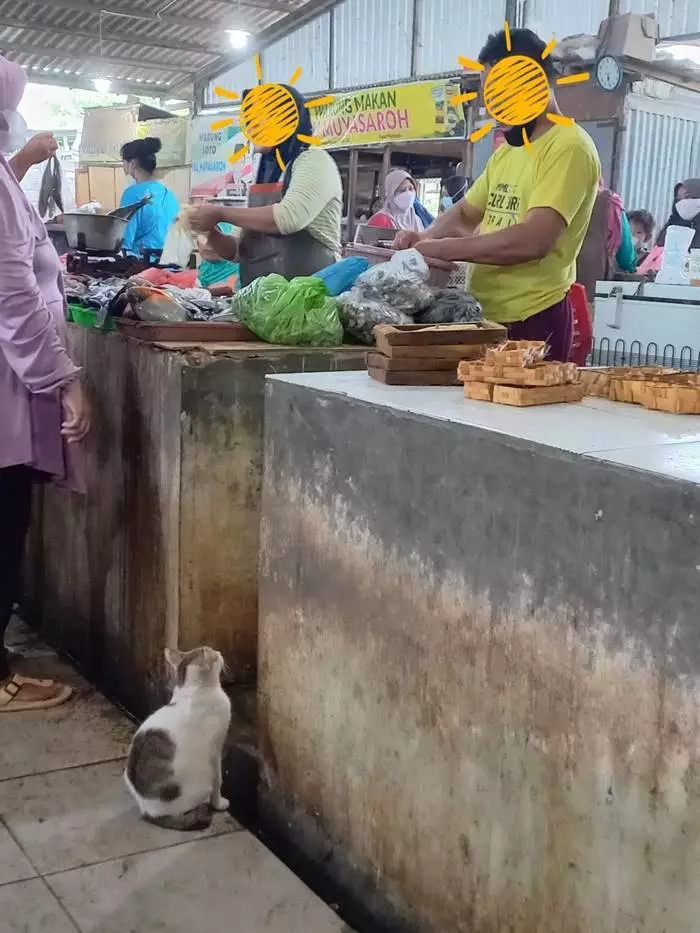 hewan ikut belanja © berbagai sumber hewan ikut belanja © berbagai sumber