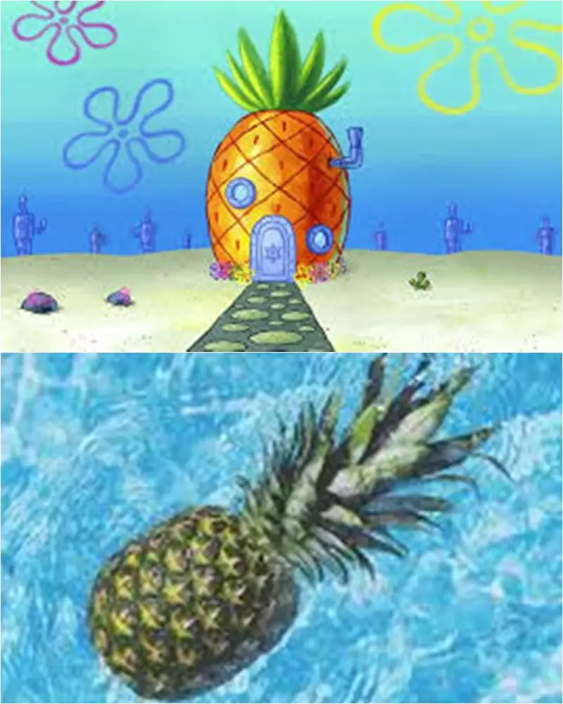cocoklogi spongebob © berbagai sumber