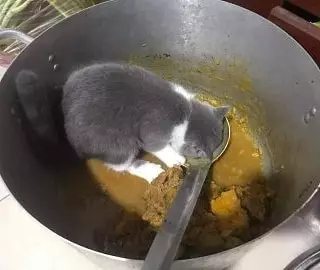 lagi masak ada aja momen lucunya © Instagram lagi masak ada aja momen lucunya © Instagram