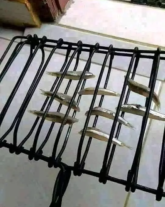 lagi masak ada aja momen lucunya © Instagram lagi masak ada aja momen lucunya © Instagram