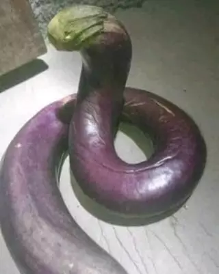penampakan bahan dapur tapi nyeleneh © berbagai sumber penampakan bahan dapur tapi nyeleneh © berbagai sumber