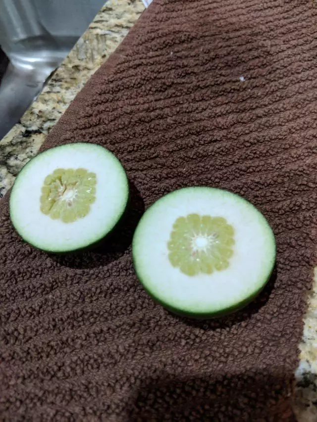 penampakan bahan dapur tapi nyeleneh © berbagai sumber penampakan bahan dapur tapi nyeleneh © berbagai sumber