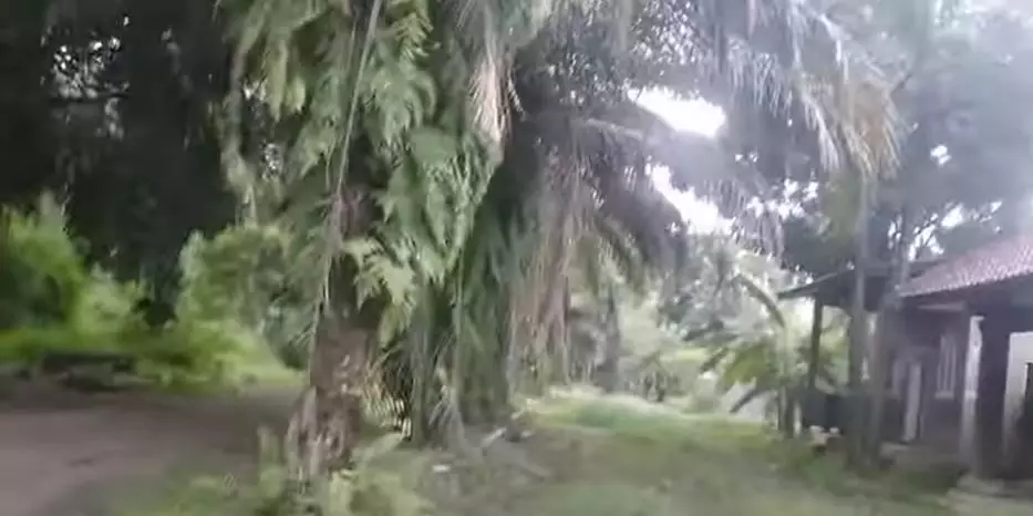 basecamp Mbah Surip terbengkalai © YouTube basecamp Mbah Surip terbengkalai © YouTube