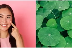 7 Kandungan skincare untuk memperbaiki skin barrier