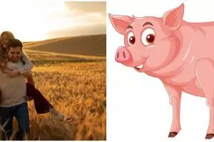 16 Arti mimpi dikejar babi, bisa jadi isyarat adanya kabar bahagia