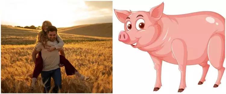 16 Arti mimpi dikejar babi, bisa jadi isyarat adanya kabar bahagia