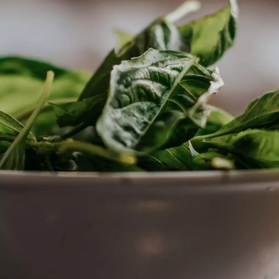 7 Cara menyimpan bayam, praktis dan tetap segar hingga 10 hari