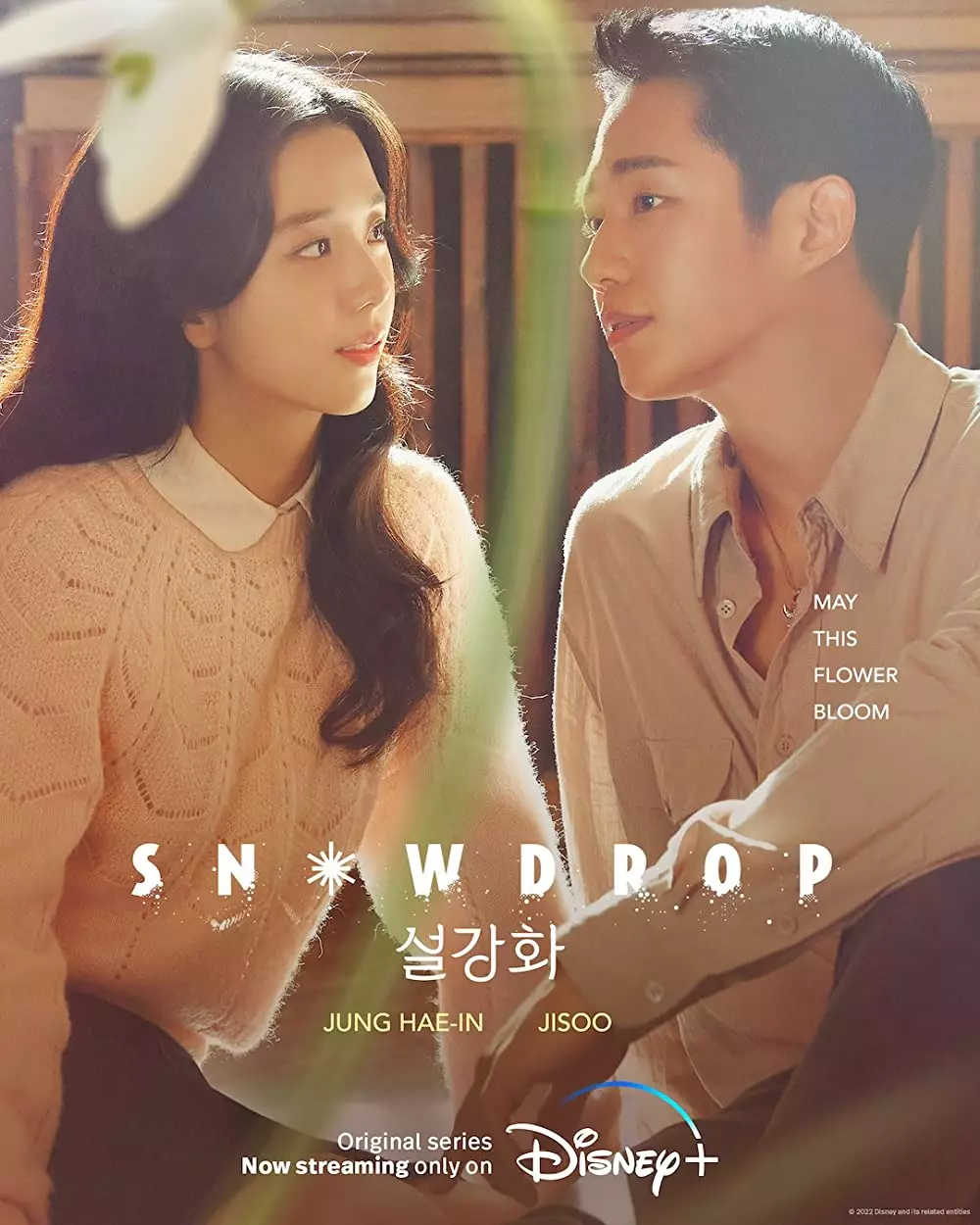 drama Korea Disney+ Hotstar berbagai sumber drama Korea Disney+ Hotstar berbagai sumber