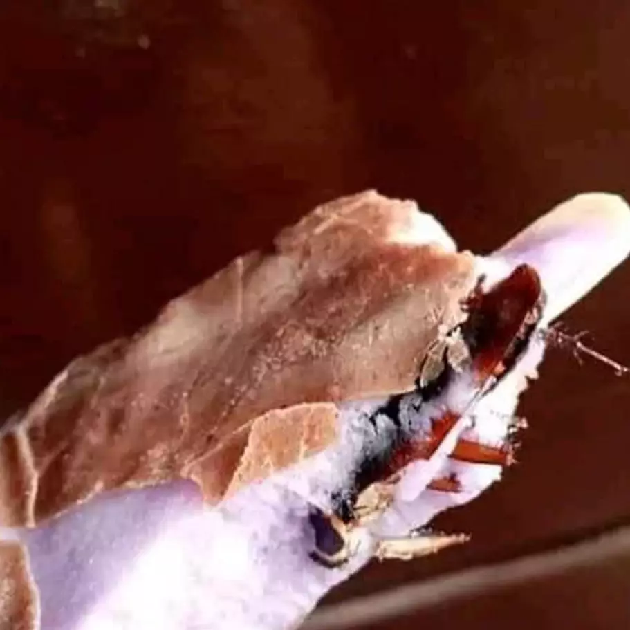 13 Momen lucu orang beli es krim, malah apes banget