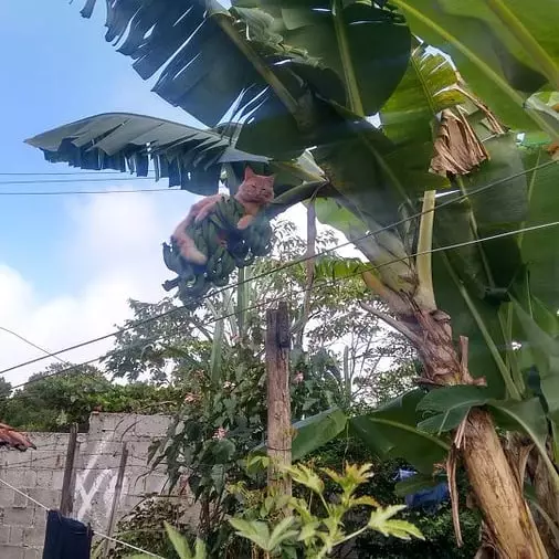 hewan difoto posenya lucu © Instagram