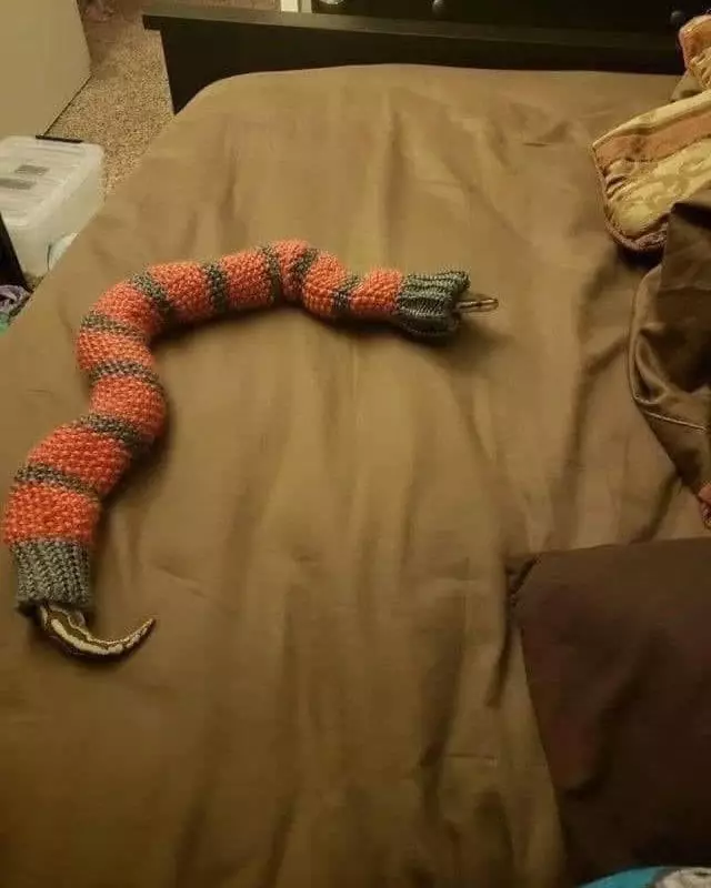 hewan difoto posenya lucu © Instagram