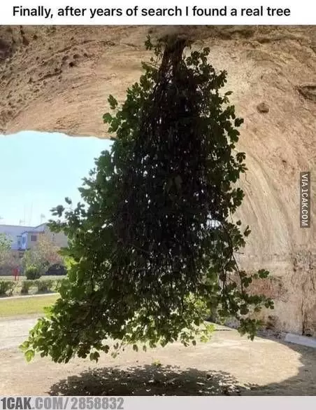 momen benda jadi terbalik lucu deh © berbagai sumber