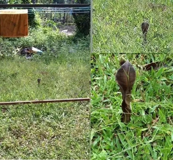 benda awalnya serem tapi akhirnya ngeselin © berbagai sumber benda awalnya serem tapi akhirnya ngeselin © berbagai sumber