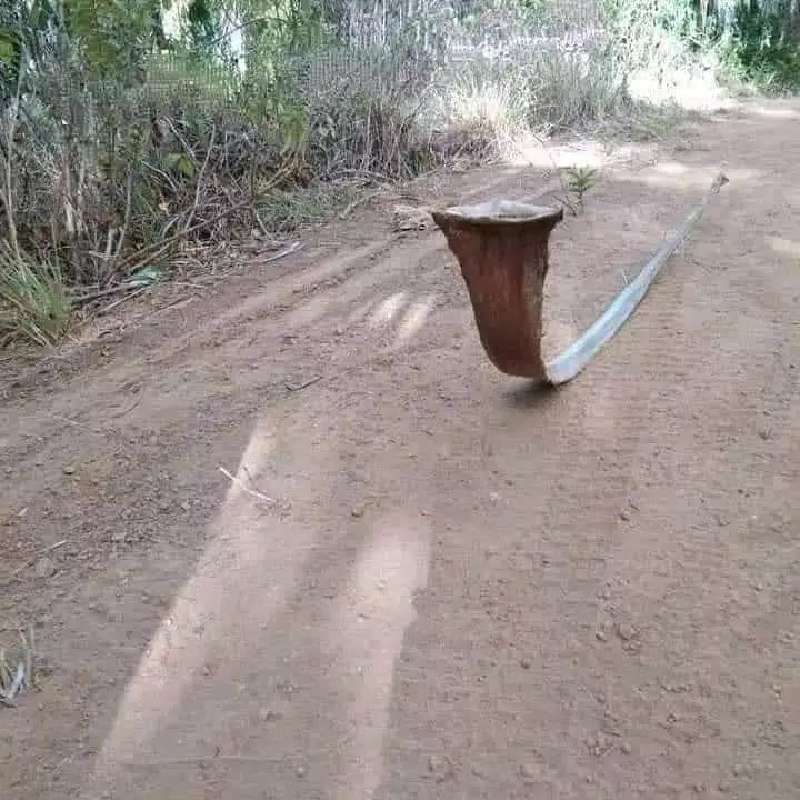 benda awalnya serem tapi akhirnya ngeselin © berbagai sumber benda awalnya serem tapi akhirnya ngeselin © berbagai sumber