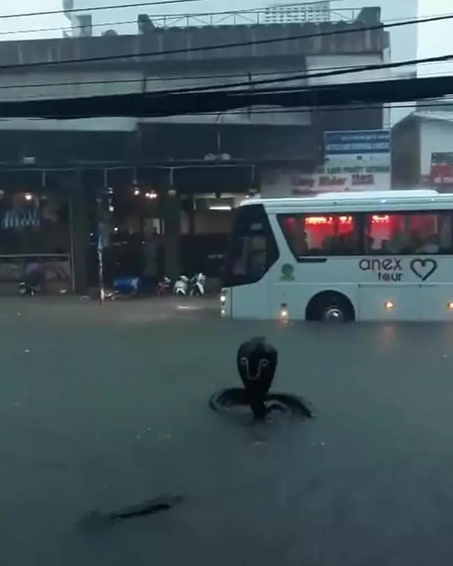 benda awalnya serem tapi akhirnya ngeselin © berbagai sumber benda awalnya serem tapi akhirnya ngeselin © berbagai sumber