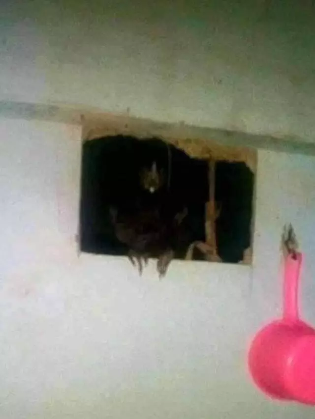 benda awalnya serem tapi akhirnya ngeselin © berbagai sumber benda awalnya serem tapi akhirnya ngeselin © berbagai sumber