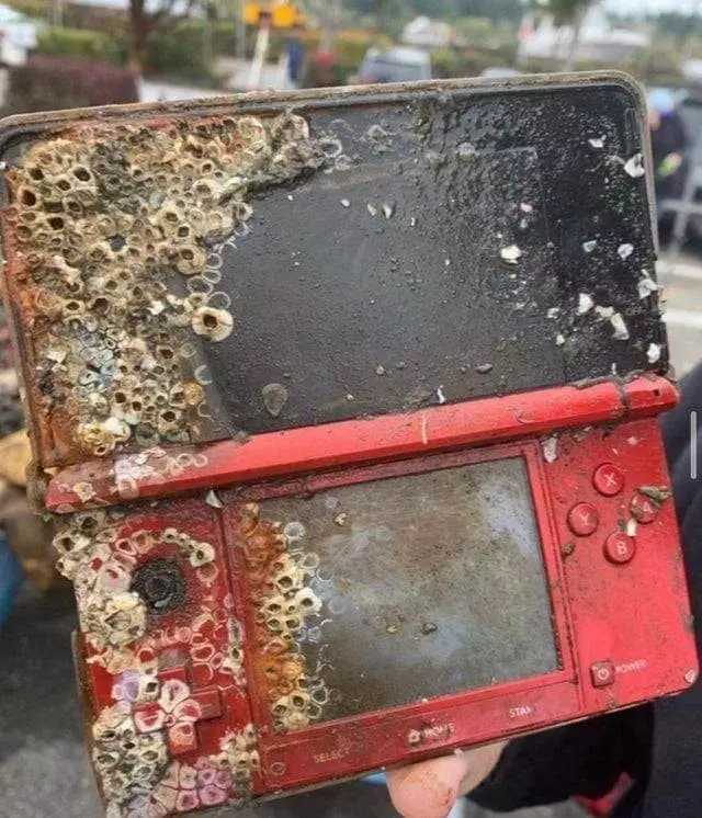 peralatan gaming malah jadi lucu © Instagram peralatan gaming malah jadi lucu © Instagram