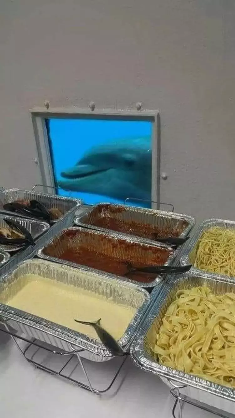 momen waktu masak di dapur kocak © berbagai sumber momen waktu masak di dapur kocak © berbagai sumber