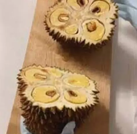 iris makanan jadi lucu banget © berbagai sumber