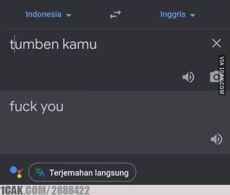 terjemahan bahasa inggris google translate © berbagai sumber