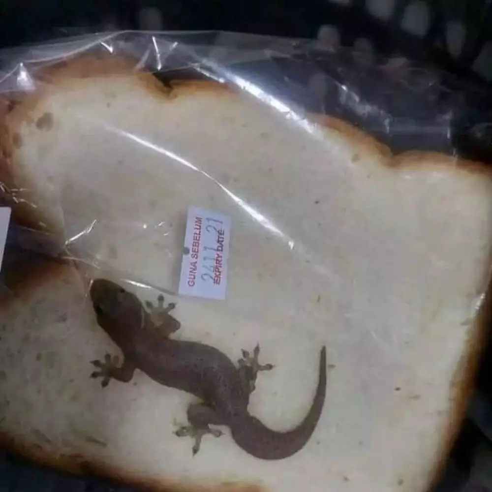 nyesek banget nggak jadi makan © Instagram nyesek banget nggak jadi makan © Instagram